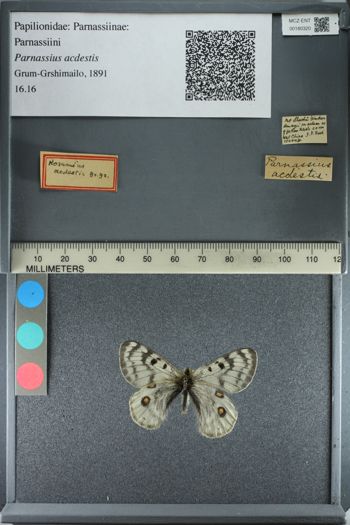Media type: image;   Entomology 180320